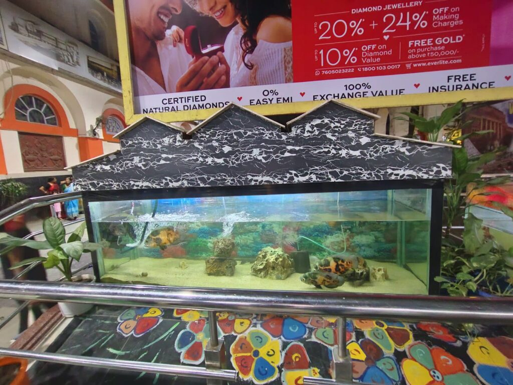 Featured Branding
